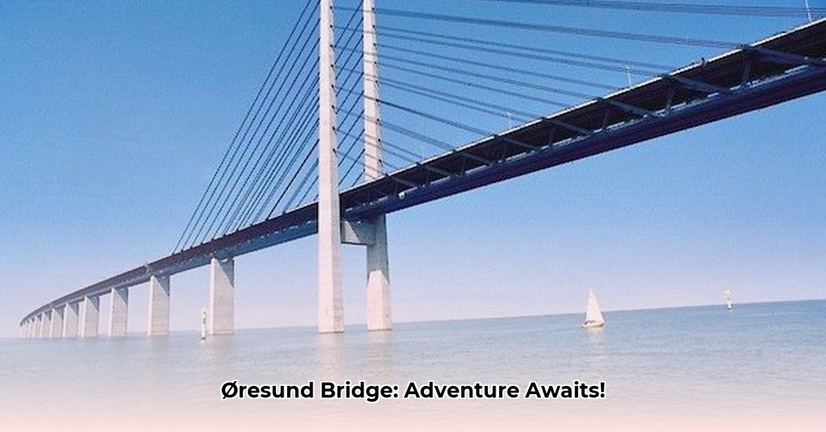 brug-tussen-denemarken-en-zweden
